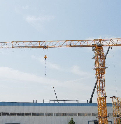 Carga de 8 t L46A1 Torre de sección de mástil grúa con tapa plana QTZ80 PT6015-8 60m longitud de la junta